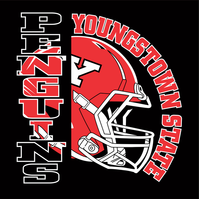 YSU Penguins Football Helmet New